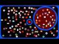 Elimination Circle ~Dodge the Bullets~ | 100 Countries Marble Race