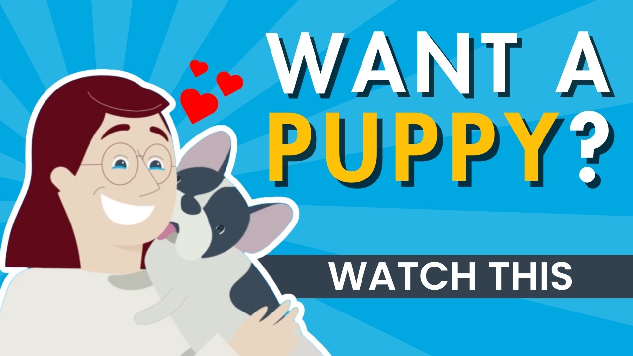 Pawrade's animated explainer video uses a story-driver approach to engage viewers. 