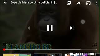 Sopa De Macaco