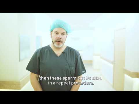 First micro TESE treatments in the Center of Andrology of Clinic EGV