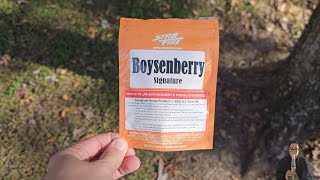 Boysenberry | Str8 Fire 🔥 