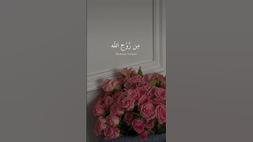 تلاوة من #سورة_يوسف بصوت #القارئ #عمار_الشلاحي 💗.