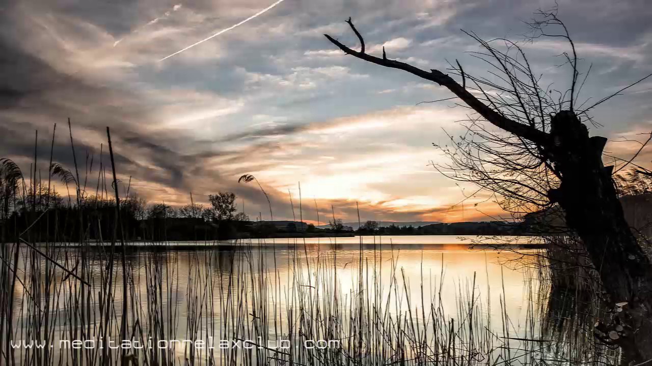 Assista a Relaxation Techniques: 1 HOUR Relaxing Music for Stress and Anxiety Relief and Sleep no YouTube Assista a Relaxation Techniques: 1 HOUR Relaxing Music for Stress and Anxiety Relief and Sleep no YouTube
