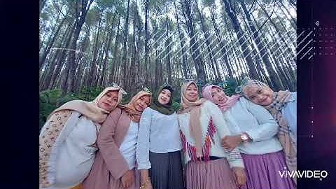 Hutan pinus Lajoanging Barru