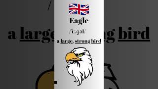 How to Pronounce Eagle in English British Accent #learnenglish #learnenglishtogether