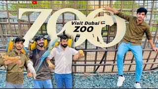Download Lagu Dubai Zoo visit | Hammad Maken MP3 Download Lagu Dubai Zoo visit | Hammad Maken MP3
