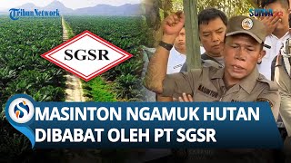 Download Lagu MASINTON NGAMUK! Hutan di Tapanuli DIBABAT PT SGSR: Atas Nama Rakyat, Saya Eksekusi! MP3