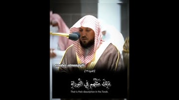 محمد رسول اللهﷺ تلاوة فضيلة الشيخ د.#ماهر_المعيقلي من صلاة المغرب 12 صفر 1444ه‍