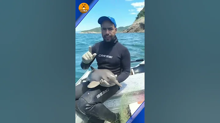 Scared baby dolphin rescued after getting caught in a net ❤️ - DayDayNews