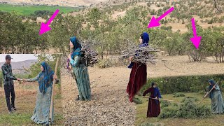 Bringing firewood, gathering plants, giving money to mother and Zainab, and happiness screenshot 3