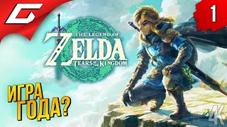 ЛУЧШАЯ ЗЕЛЬДА ➤ The Legend of Zelda: Tears of the Kingdom ◉ Прохождение 1