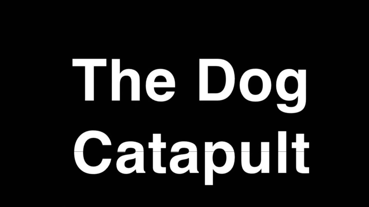 The Dog Catapult YouTube