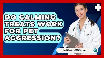 Do Calming Treats Work For Pet Aggression? - PetGuide360.com