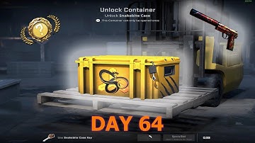 Opening CS2 cases till i get a gold [ Day 64 ] Snakebite case