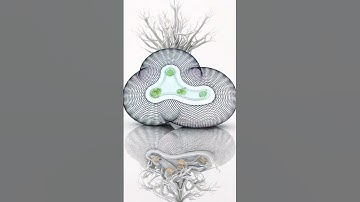 Can You Create Masterpiece Art with a Spirograph in Just 5 Minutes?