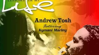 Andrew Tosh feat. Kymani Marley - Lesson's in My Life chords