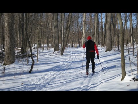 Vídeo: Os melhores lugares para praticar esqui cross country no Colorado
