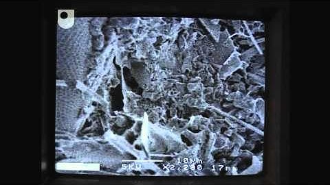 Climatic Evidence From Sediments - Exploring the Science of Climate (3/5)