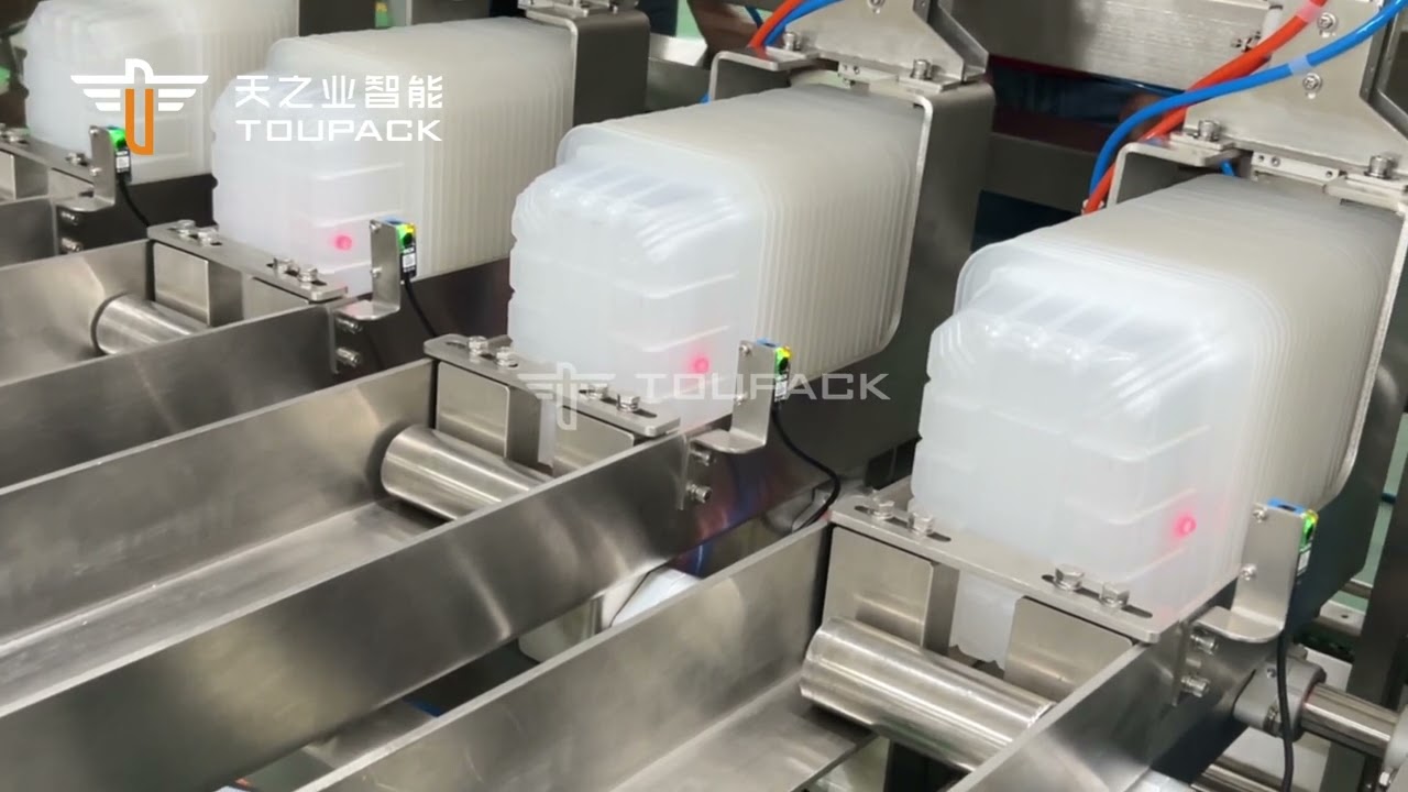 Automated Chicken Wings Boxing Line — Built for Efficiency, Hygiene, and Consistency