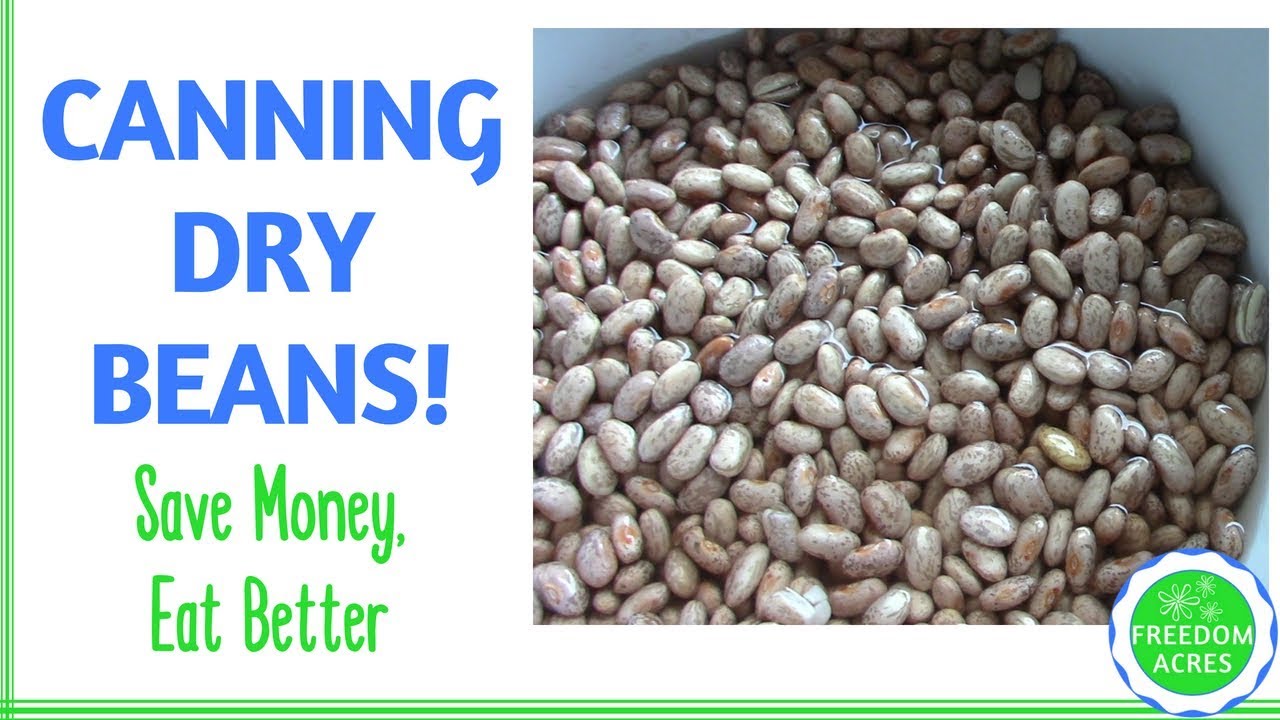 Home Canning Dry Beans ~Save Money, Eat Better! - YouTube
