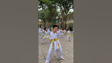 Clb karate trường tiểu học Hà Huy Tập 2 TP Vinh, Nghệ An #karate1 #karanaujla #karate #karatedo