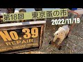 【第18回 東京蚤の市】2022/11/19 行って来ました！