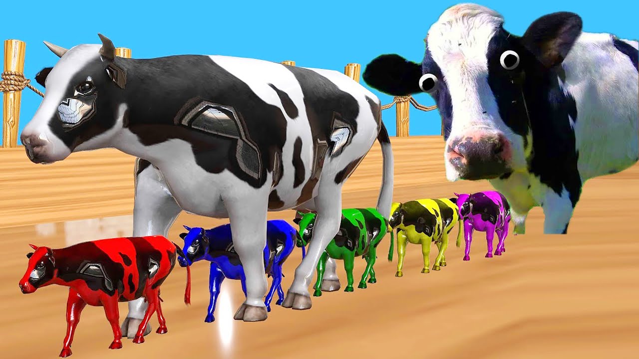 FUNNY COW DANCE 2023 │ Cow Music - Cow Songs & Cow Cartoon Videos - YouTube