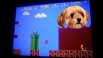 My First 8-3 Flagpole Glitch Framerule Save (Kriller Setup)