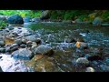 Beautiful River Sounds for Sleep | Calm Nature Sounds for Sleeping, Studying &amp; Relaxation #34