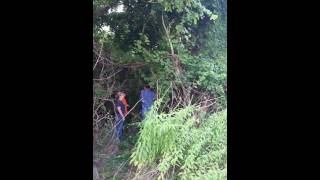 Drone stuck in a tree by Shauna Myers 28 views 7 years ago 2 minutes, 31 seconds