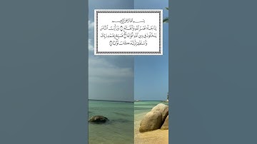 سورة النصر القارئ حسن الواجدي# سورة_النصر#القارئ#حسن_الواجدي#القران_الكريم#قران_كريم#تلاوة_خاشعة#