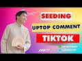 Seeding Uptop Comment TikTok | How To Boost TikTok Comments To The Top