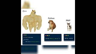 C++ v/s Python v/s PHP | #python #pythoncode #python编程 #iot #machinelearning #blockchain #java #c++