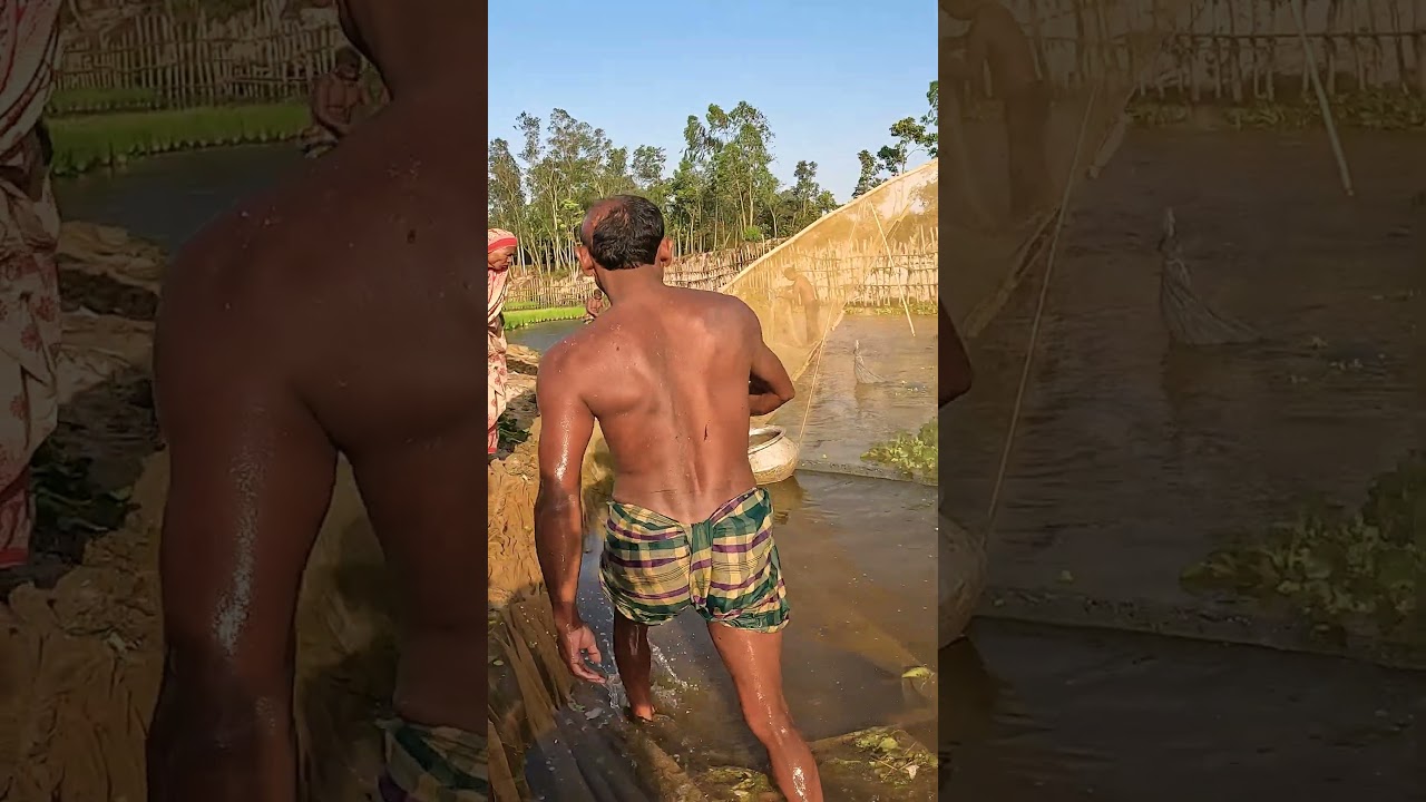 Best Hand Fishing Video River Fishing Video By Net 