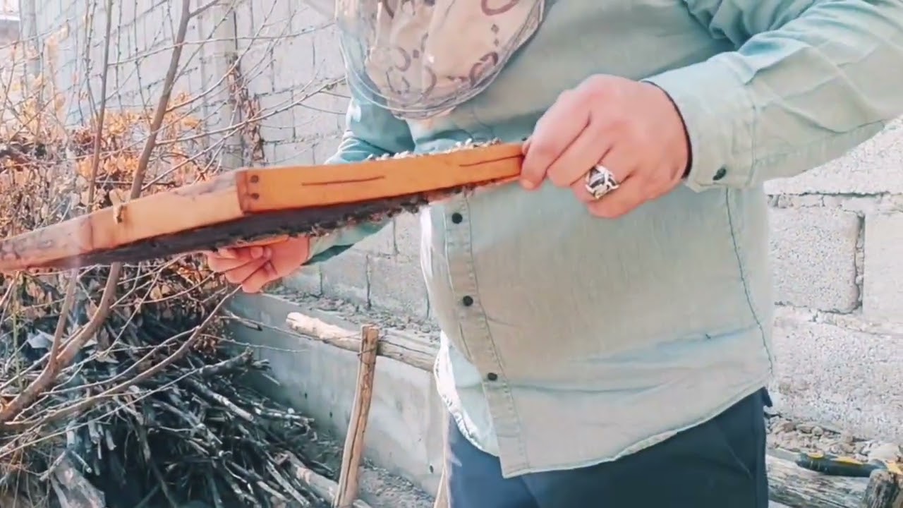 FIGHT AGAINST VARROA MITE