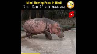 Mind Blowing Facts in Hindi ?? Amazing Facts | Human Body Facts | Top 10 HindiTVIndia