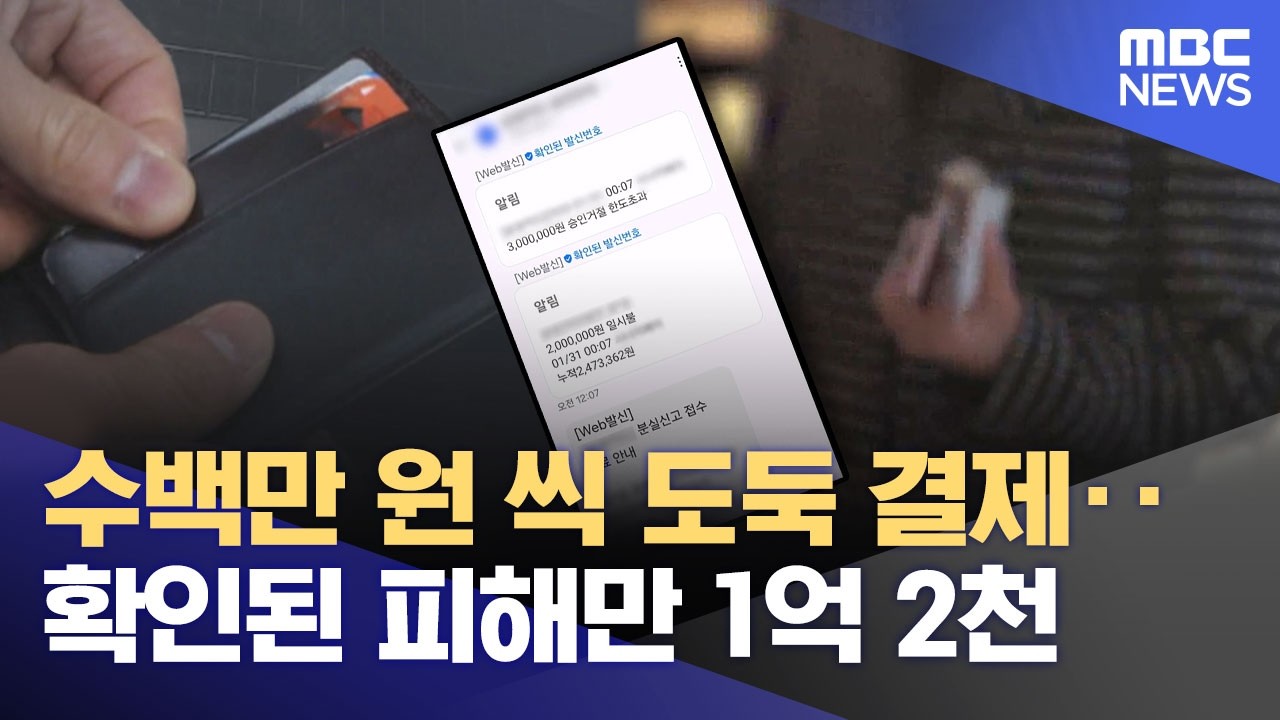 수백만 원 씩 도둑 결제‥ 확인된 피해만 1억 2천 (2026.02.26/뉴스데스크/여수MBC)