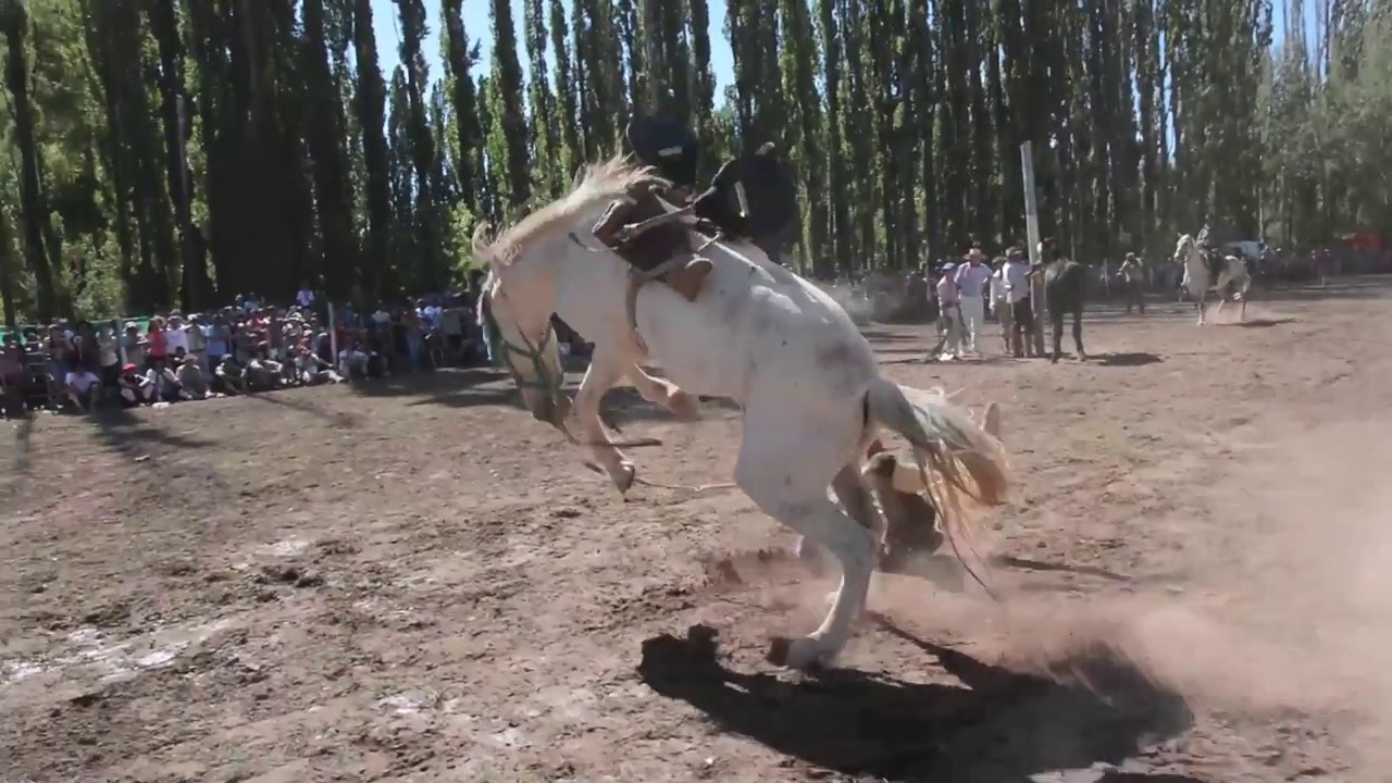 Fiesta Nacional del Chivo, Destrezas y Jineteadas(Videoclip)