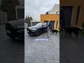Audi Q8, czyli brat Urusa #caroseria #audi #shorts
