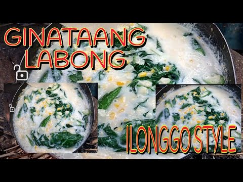 GINATAANG LABONG WITH SALUYOT ILONGGO STYLE| GeCamino official vlog ...