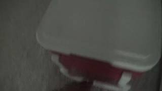 coleman cooler oscar 1981 USA-2016