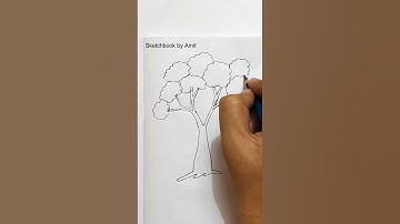 Tree drawing #reels #video #shorts  @SketchbookbyAmit