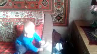 Видео0016