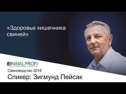 ANIMALPROFI Свиноводство 2018. Зигмунт Пейсак: Здоровье кишечника