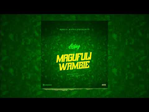 Aslay- Magufuli Wambie (Official Audio)