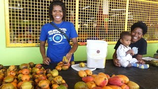 SUVA MARKET, FIJI  Best market in the world!