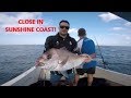 BIG Snapper, BIG Tuskies, BIG Squid in close - Sunshine Coast