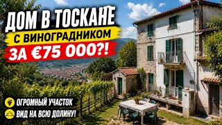 A HOUSE IN TUSCANY WITH A VINEYARD FOR €75,000! 😱 HUGE PLOT AND A VIEW OF THE ENTIRE VALLEY! 🇮🇹