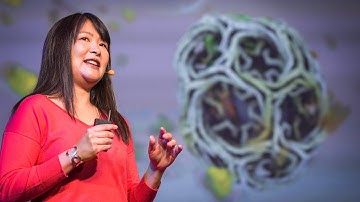Janet Iwasa: How animations can help scientists test a hypothesis