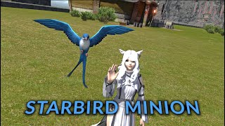 Ffxiv Starbird Minion